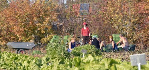 Gartenmitarbeitswoche mit dem Gartenteam